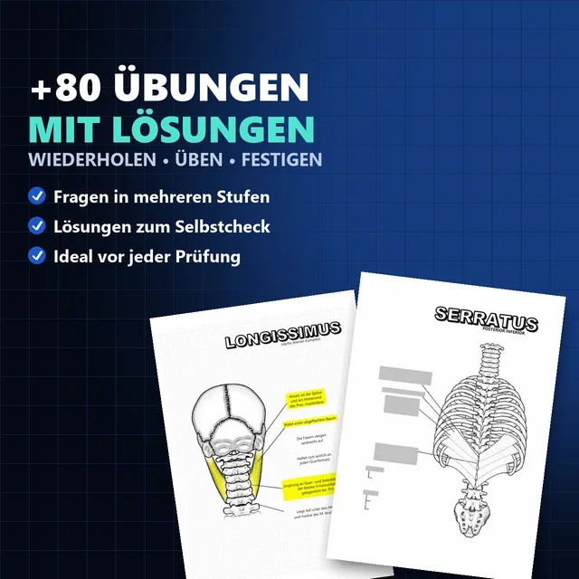 Über 80 Anatomie-Übungen mit Lösungen